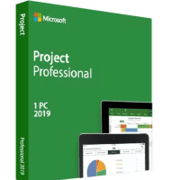 project 2019 professional