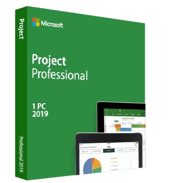 project 2019 professional