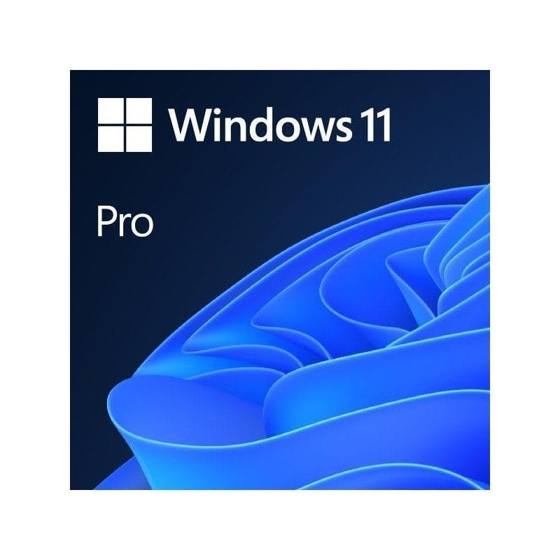 windows 11 pro