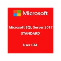 sql server 2017 standard user cal