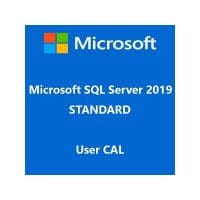 sql server 2019 user cal