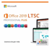 office 2019 professional plus ltsc