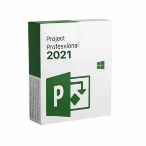 project 2021 professional