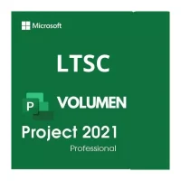 project professional 2021 ltsc