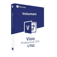 visio professional 2019 ltsc