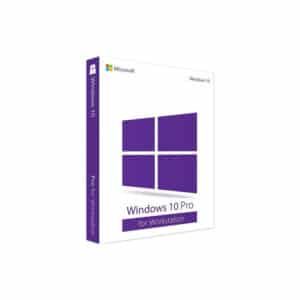 windows 10 pro workstation